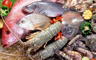 Việt Nam giảm nhập thủy hải sản trong 4 tháng đầu năm 2020 do dịch COVID-19