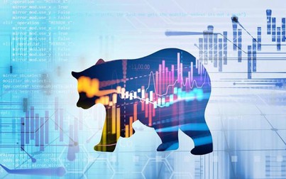 Liệu thị trường con gấu đã kết thúc?