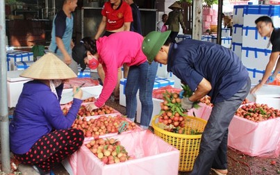 Thiếu 25-30% sản lượng, tỉnh Vân Nam (Trung Quốc) mở cửa thị trường cho nông sản Việt