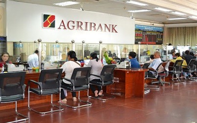 Agribank miễn, giảm lãi suất cho 29.000 khách hàng ảnh hưởng bởi COVID-19
