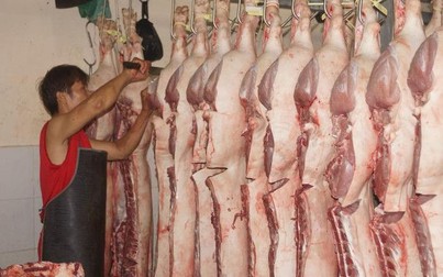 Nhập khẩu thịt lợn của Trung Quốc tăng gần gấp đôi trong tháng 4/2020