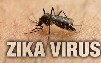 Việt Nam ghi nhận 1 ca nhiễm Zika, 3 ca tử vong do sốt xuất huyết