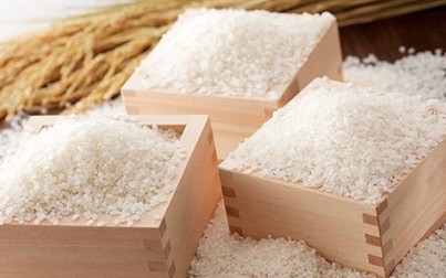 Giá gạo trong nước ổn định ngày cuối tuần