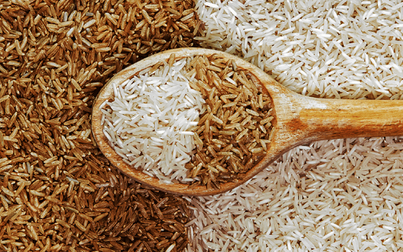 Giá thu mua gạo nguyên liệu trong nước ổn định, nhà kho tăng công suất thu mua