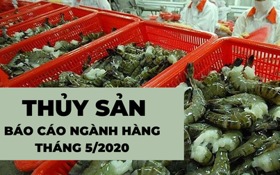 Xuất khẩu thủy hải sản Việt Nam có dấu hiệu phục hồi trong tháng 5