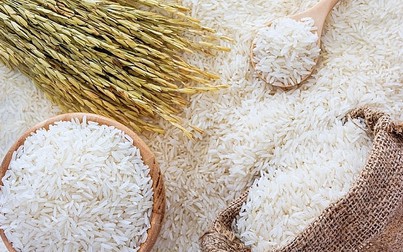 Giá gạo giảm do việc xuất khẩu vẫn còn đang hạn chế bởi COVID-19
