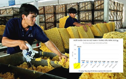 Trung Quốc vẫn là thị trường tiêu thụ cao su Việt Nam nhiều nhất
