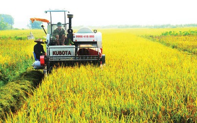 Quốc hội thông qua Nghị quyết kéo dài thời miễn thuế sử dụng đất nông nghiệp
