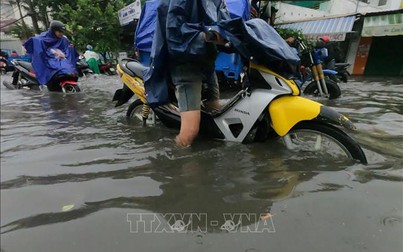 Mưa lớn kèm giông lốc, Sài Gòn ngập nặng, cây gãy đổ hàng loạt