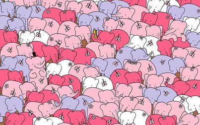 Bạn có nhìn thấy một trái tim giữa những chú voi này?