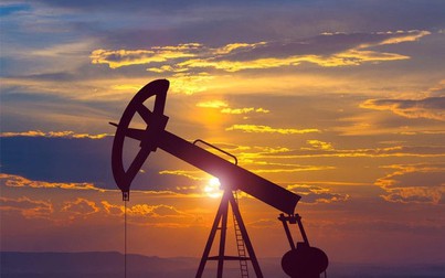 Giá dầu thô tăng trở lại do nhu cầu tiêu thụ được cải thiện