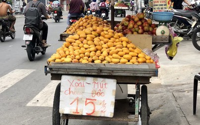 Xoài mini Trung Quốc "giả dạng" xoài An Giang xuất hiện khắp Sài Gòn