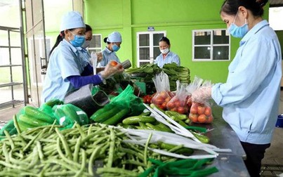 Thực hư việc Campuchia cấm nhập 6 loại nông sản của Việt Nam?