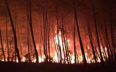 Cháy rừng dữ dội ở Nghệ An, Hà Tĩnh