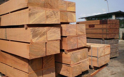 Việt Nam nhập khẩu gỗ từ châu Phi chỉ thua Trung Quốc