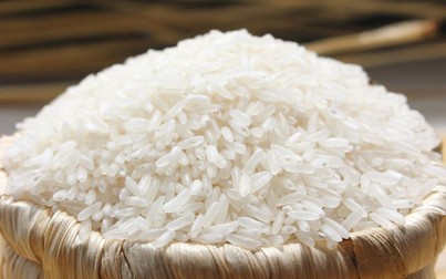 Nhu cầu thu mua lớn, giá gạo tăng nhẹ ở một số loại