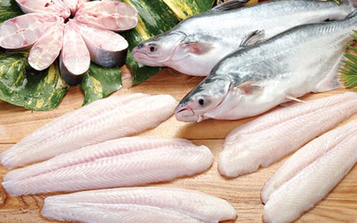 3 thị trường xuất khẩu cá tra Việt Nam kỳ vọng khởi sắc trong quý III?