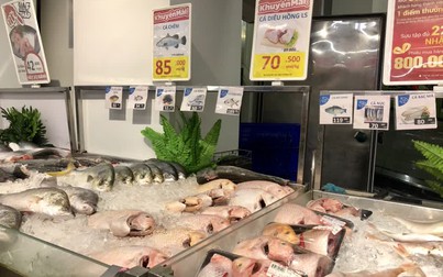 Các loại cá đồng loạt giảm mạnh tại siêu thị