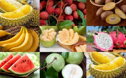 8 loại trái cây thuần Việt không lo nhập từ Trung Quốc