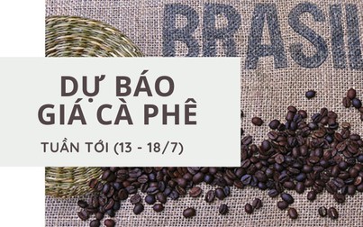 Dự báo giá cà phê tuần tới (13 - 18/7): Tín hiệu tốt cho Arabica