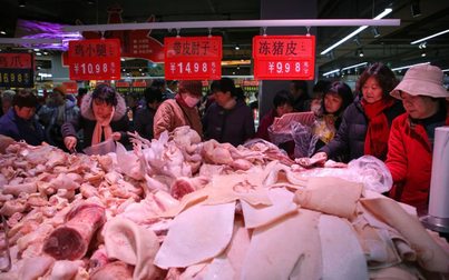 Giá heo hơi Việt Nam khó giảm sâu dù Trung Quốc nhập 1,72 triệu tấn thịt