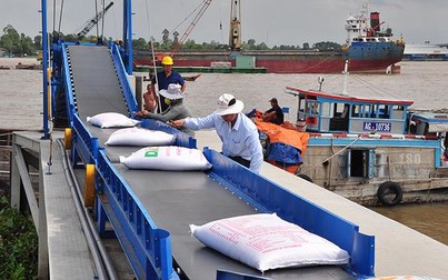 Hiệp định EVFTA có hiệu lực, Việt Nam có thể xuất khẩu 100.000 tấn gạo sang EU mỗi năm