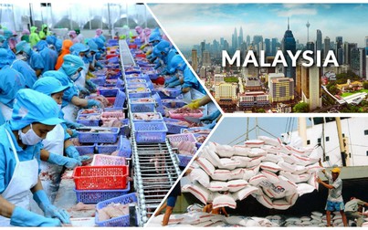 Hậu COVID-19: Malaysia - Thị trường xuất khẩu tiềm năng của doanh nghiệp Việt Nam