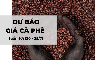 Dự báo giá cà phê tuần tới (20 - 25/7): Arabica khó giữ đà tăng giá
