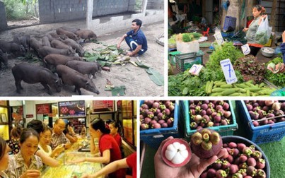 Thị trường tuần qua: Vàng, rau xanh tăng giá, trái cây rớt thê thảm
