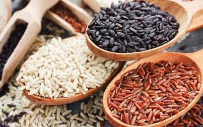Giá lúa gạo trong nước giảm nhẹ, EU công bố hạn ngạch nhập khẩu gạo Việt Nam