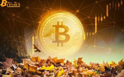 Tăng nhẹ, Bitcoin vượt mức 9.500 USD