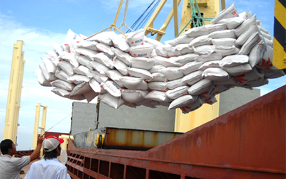 Senegal mở cửa không phận, cơ hội xuất khẩu gạo Việt Nam