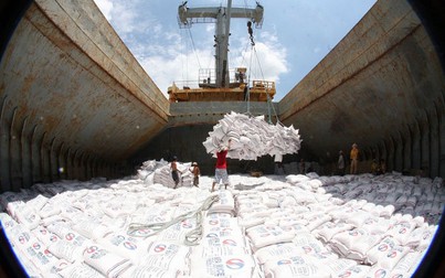Ấn Độ bị ảnh hưởng nặng bởi COVID-19, cơ hội cho gạo xuất khẩu của Việt Nam?