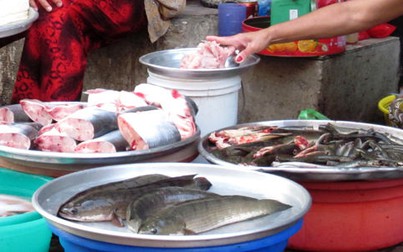 Các loại cá nước ngọt đồng loạt giảm giá 5.000 đồng/kg