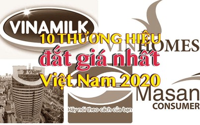 10 thương hiệu lớn nhất Việt Nam 2020: Viettel, Vinamilk, VNPT, Sabeco, Vinhomes... có giá trị hơn 8,1 tỷ USD