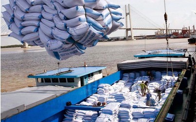 EVFTA có hiệu lực, gạo Việt Nam sẵn sàng vào cuộc đua xuất khẩu ít nhưng ngoại tệ mang về cao