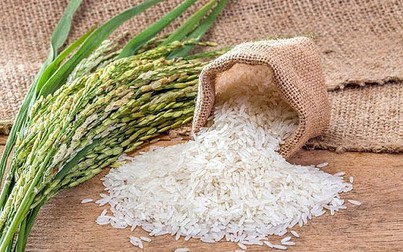 Giá gạo xuất khẩu Việt Nam tăng cao nhất kể từ tháng 6