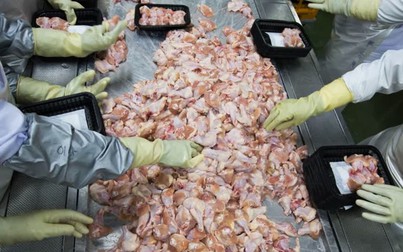 Trung Quốc phát hiện cánh gà đông lạnh nhập khẩu từ Brazil nhiễm COVID-19