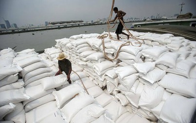 Việt Nam có thể là nước xuất khẩu gạo số 1 thế giới trong năm 2020