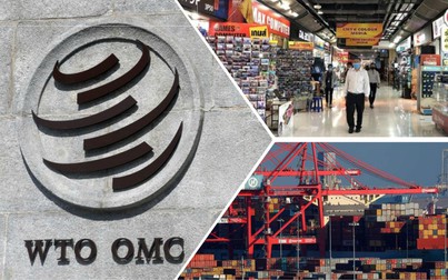 WTO: Thương mại hàng hóa toàn cầu giảm xuống mức thấp kỷ lục