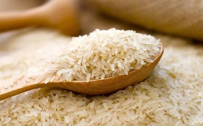 Giá lúa gạo trong nước đứng yên