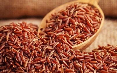 Giá lúa gạo giữ ổn định, nguồn cung đang thấp