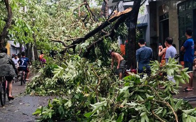 Thừa Thiên Huế thiệt hại nặng nề sau bão số 5