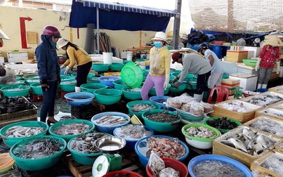 Giá hải sản đồng loạt giảm mạnh ngày đầu tuần
