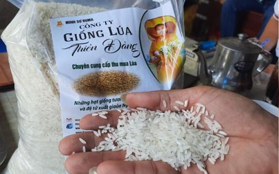 Cảnh báo một công ty cung cấp lúa giống có dấu hiệu lừa đảo ở miền Tây