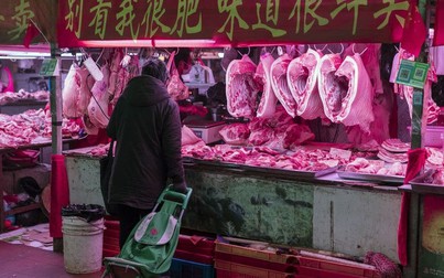 Công ty Trung Quốc tặng thịt lợn làm quà Trung thu cho nhân viên