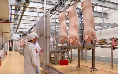 Vừa khánh thành nhà máy chế biến thịt heo 1.800 tỷ đồng, MEATLife liền lấn sang thịt gà