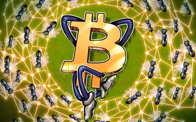 Bitcoin xuống mức 10.549 USD, số dư đang thấp nhất trong 23 tháng