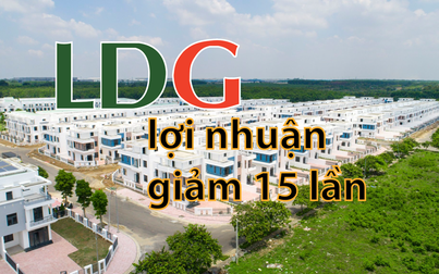 Lợi nhuận LDG Group giảm đến 15 lần, kế hoạch lãi 700 tỷ phá sản?