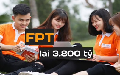 FPT lãi hơn 3.800 tỷ đồng, chủ yếu đến từ thị trường Nhật, Mỹ, EU và mảng giáo dục